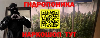 ГАЛЛЮЦИНОГЕННЫЕ ГРИБЫ Пыть-Ях